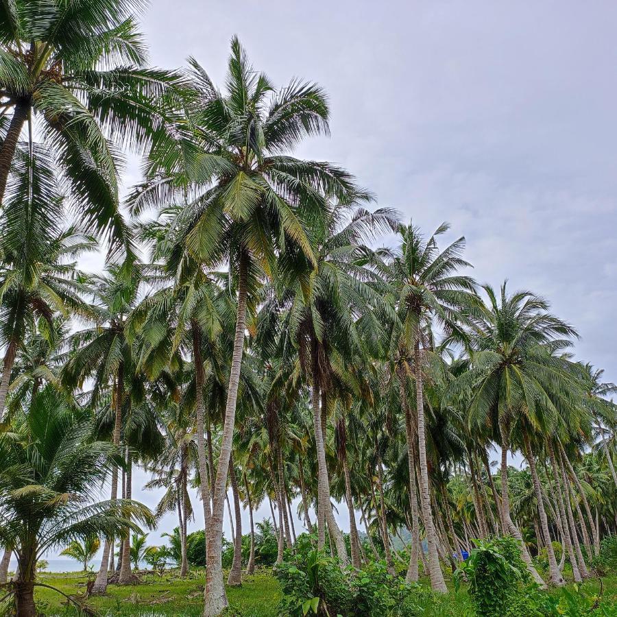 Honey Moon Beach Resort ANDAMAN AND NICOBAR ISLANDS Экстерьер фото